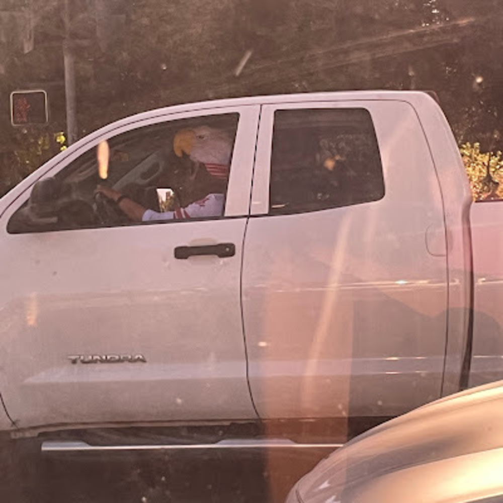 Meet your Posher, Jessi